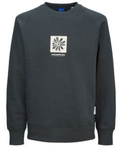Jack & Jones - Sweatshirts - 12262958